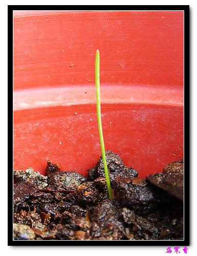 ������!P7:�غ컨,����,�����ݿ�ʼ��ѿ��