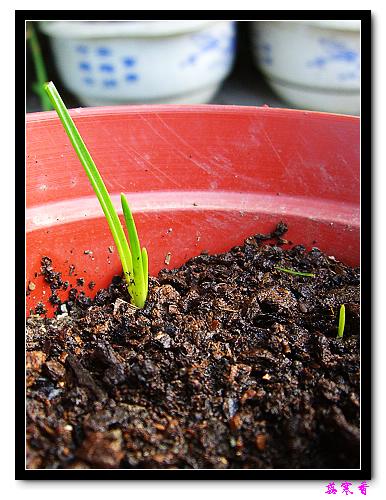 ������!P7:�غ컨,����,�����ݿ�ʼ��ѿ��