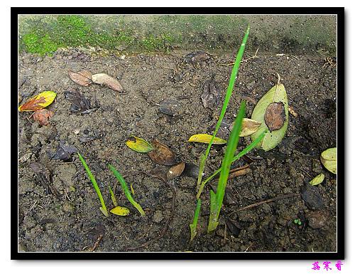 ������!P7:�غ컨,����,�����ݿ�ʼ��ѿ��