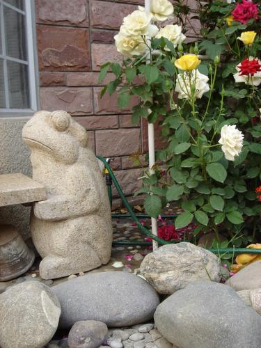 ��ʳ���������û�������(������԰СƷ)