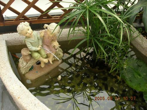 ��ʳ���������û�������(������԰СƷ)