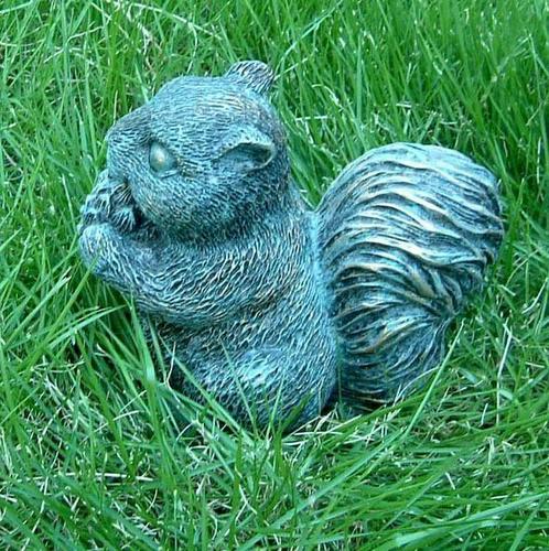 ��ʳ���������û�������(������԰СƷ)