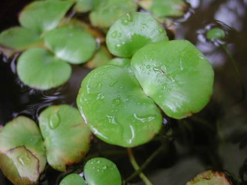 �²¿�������ʲô��