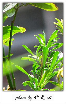 �ɵĲ�ȥ���µĲ�����Ŭ������ing~(���������ʹ)