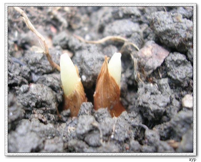 ������!P7-P11:�غ컨,����,�����ݷ�ѿPP