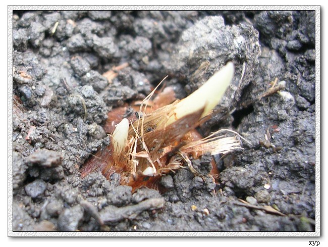 ������!P7-P11:�غ컨,����,�����ݷ�ѿPP