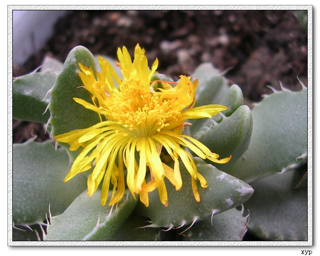 ����������