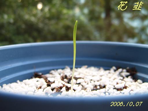 �ɰ���С�����ǣ�PP½�������С�����