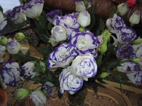 [��ͼ]��̨�����㱨(����PP)