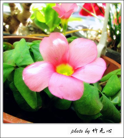 ����Ļ���~P5,ܽ�������ݿ�������