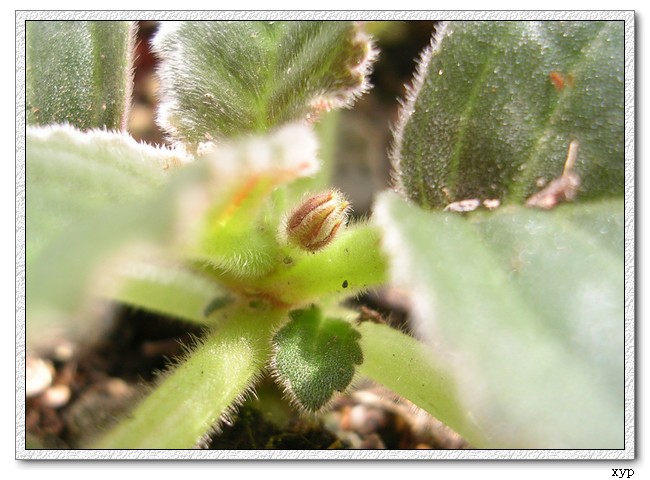 K��������ͩ�л���������