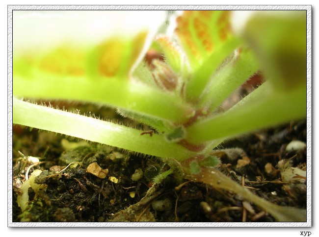 K��������ͩ�л���������