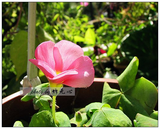 ����Ļ���~P5,ܽ�������ݿ�������