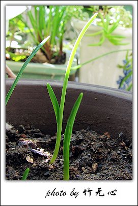 ����Ļ���~P5,ܽ�������ݿ�������