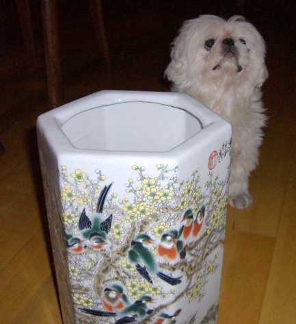 �����Ե�����