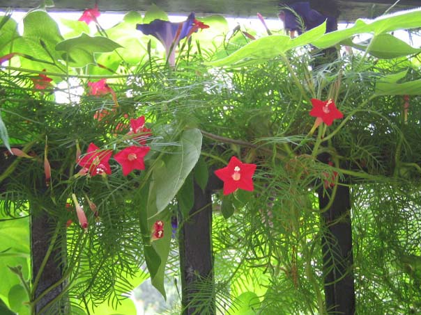 [��ͼ]��̨�����㱨(����PP)