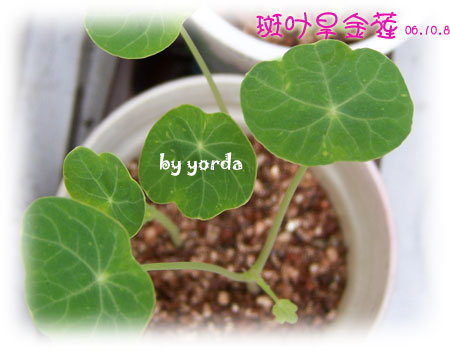 �����ˬ�������ǿ�ʼ��ѿ��