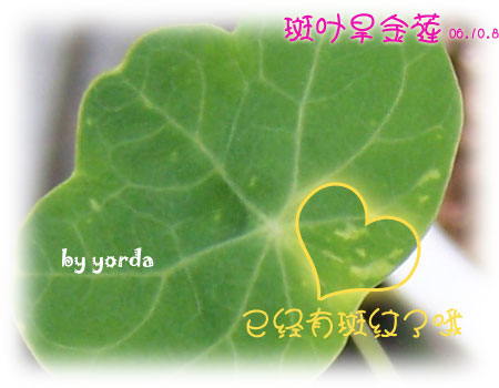 �����ˬ�������ǿ�ʼ��ѿ��