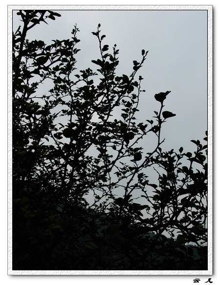 ��ɢ�Լ�������