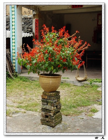 ��ɢ�Լ�������