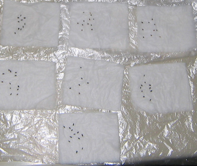 �ﲥҲ���......P13