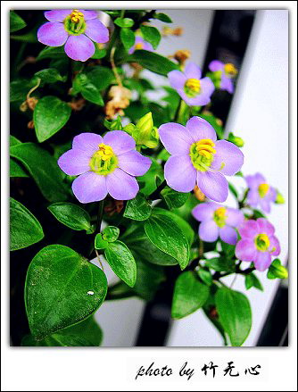 �ɵĲ�ȥ���µĲ�����Ŭ������ing~(���������ʹ)