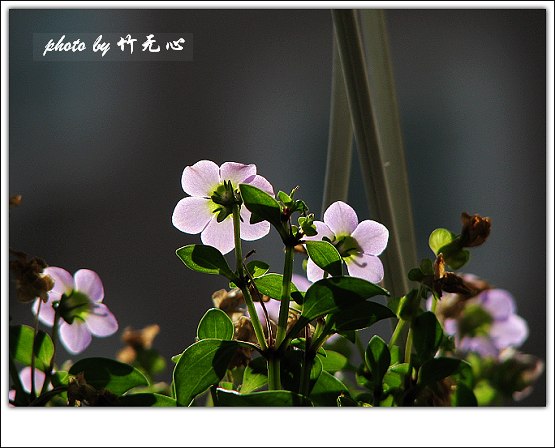 �ɵĲ�ȥ���µĲ�����Ŭ������ing~(���������ʹ)