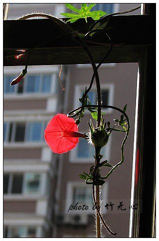 P5,�Ϸ���,��һ�ֻ���~�ɵĲ�ȥ���µĲ���...