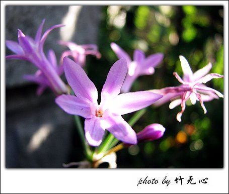 P5,�Ϸ���,��һ�ֻ���~�ɵĲ�ȥ���µĲ���...