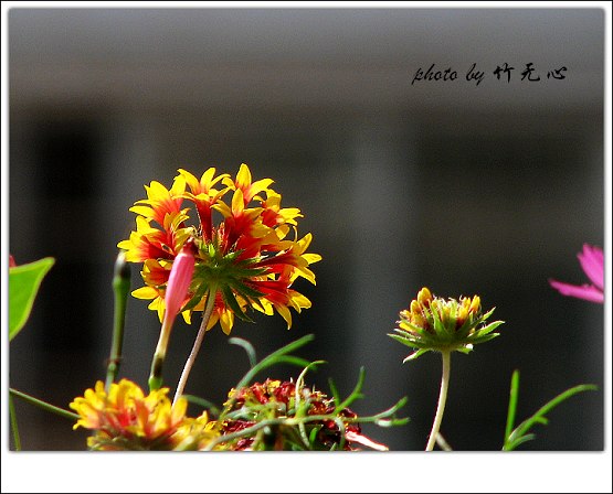 P5,�Ϸ���,��һ�ֻ���~�ɵĲ�ȥ���µĲ���...