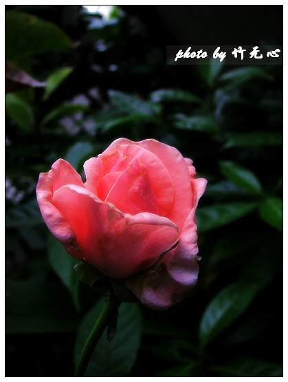 P5,�Ϸ���,��һ�ֻ���~�ɵĲ�ȥ���µĲ���...