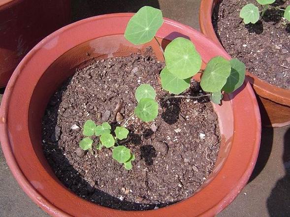 �ݻ����Ŷӣ���л�������������ӵĻ��ѣ�