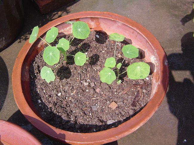 �ݻ����Ŷӣ���л�������������ӵĻ��ѣ�