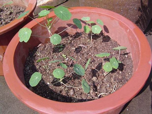 �ݻ����Ŷӣ���л�������������ӵĻ��ѣ�