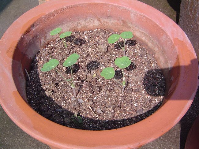 �ݻ����Ŷӣ���л�������������ӵĻ��ѣ�