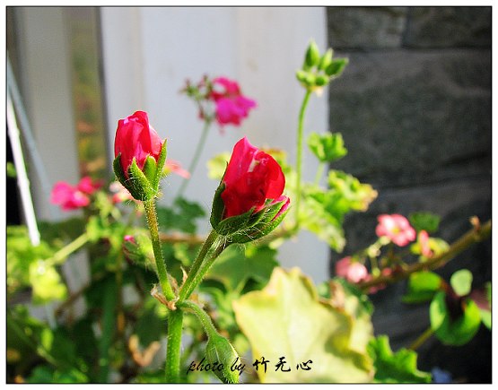 P5,�Ϸ���,��һ�ֻ���~�ɵĲ�ȥ���µĲ���...