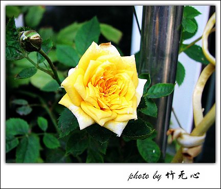 P5,�Ϸ���,��һ�ֻ���~�ɵĲ�ȥ���µĲ���...