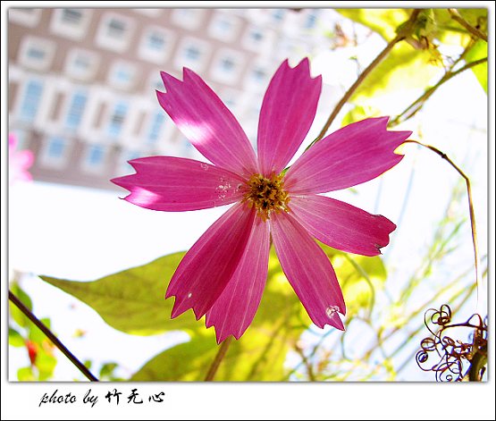 P5,�Ϸ���,��һ�ֻ���~�ɵĲ�ȥ���µĲ���...