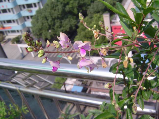 �ݻ����Ŷӣ���л�������������ӵĻ��ѣ�