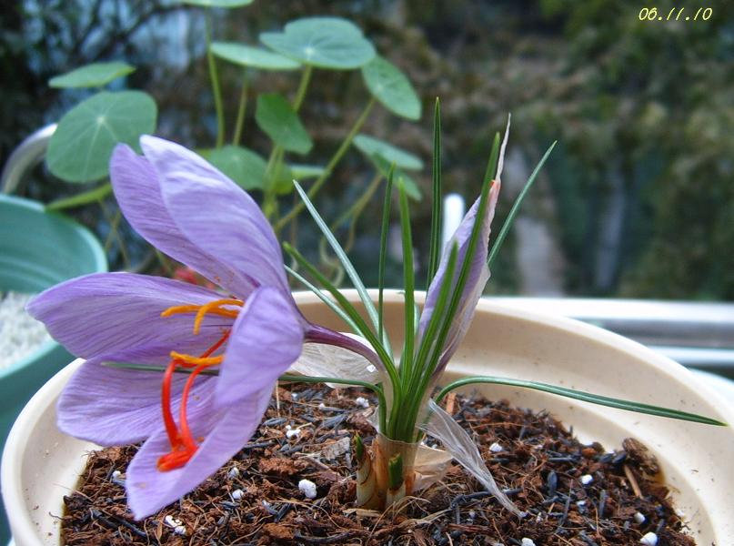 [��ͼ]���ǵ���������غ컨��P11