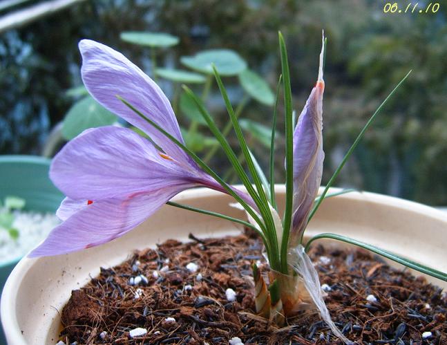 [��ͼ]���ǵ���������غ컨��P11