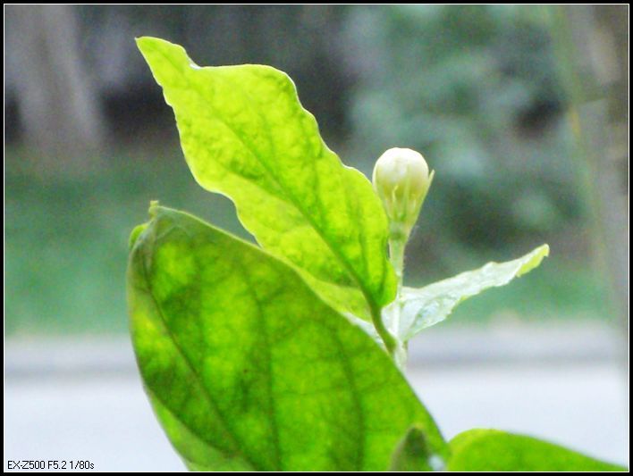 �����ֻ��ɹ�С��