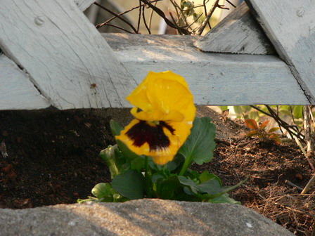 [ԭ��]�ҵĻ���---�����ɫ��*���ÿ�(P11.12.13)