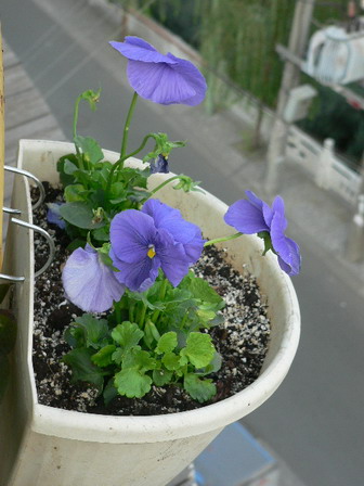 [ԭ��]�ҵĻ���---�����ɫ��*���ÿ�(P11.12.13)