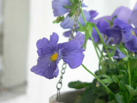 [ԭ��]�ҵĻ���---�����ɫ��*���ÿ�(P11.12.13)