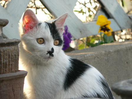 [ԭ��]�ҵĻ���---�����ɫ��*���ÿ�(P11.12.13)