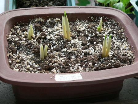 [ԭ��]�ҵĻ���---�����ɫ��*���ÿ�(P11.12.13)