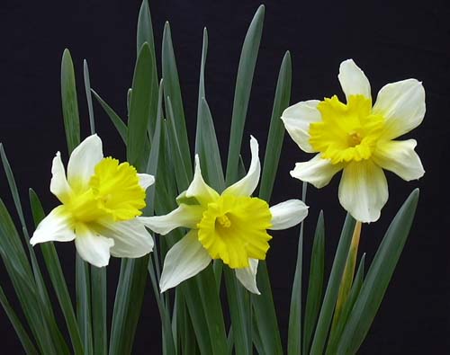 [��ˮ]��ˮ��