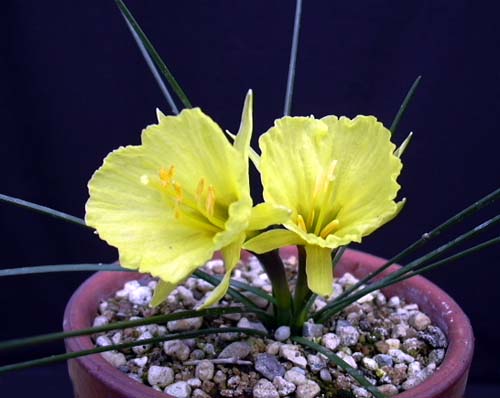 [��ˮ]��ˮ��