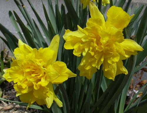 [��ˮ]��ˮ��